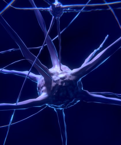 réguler son système nerveux